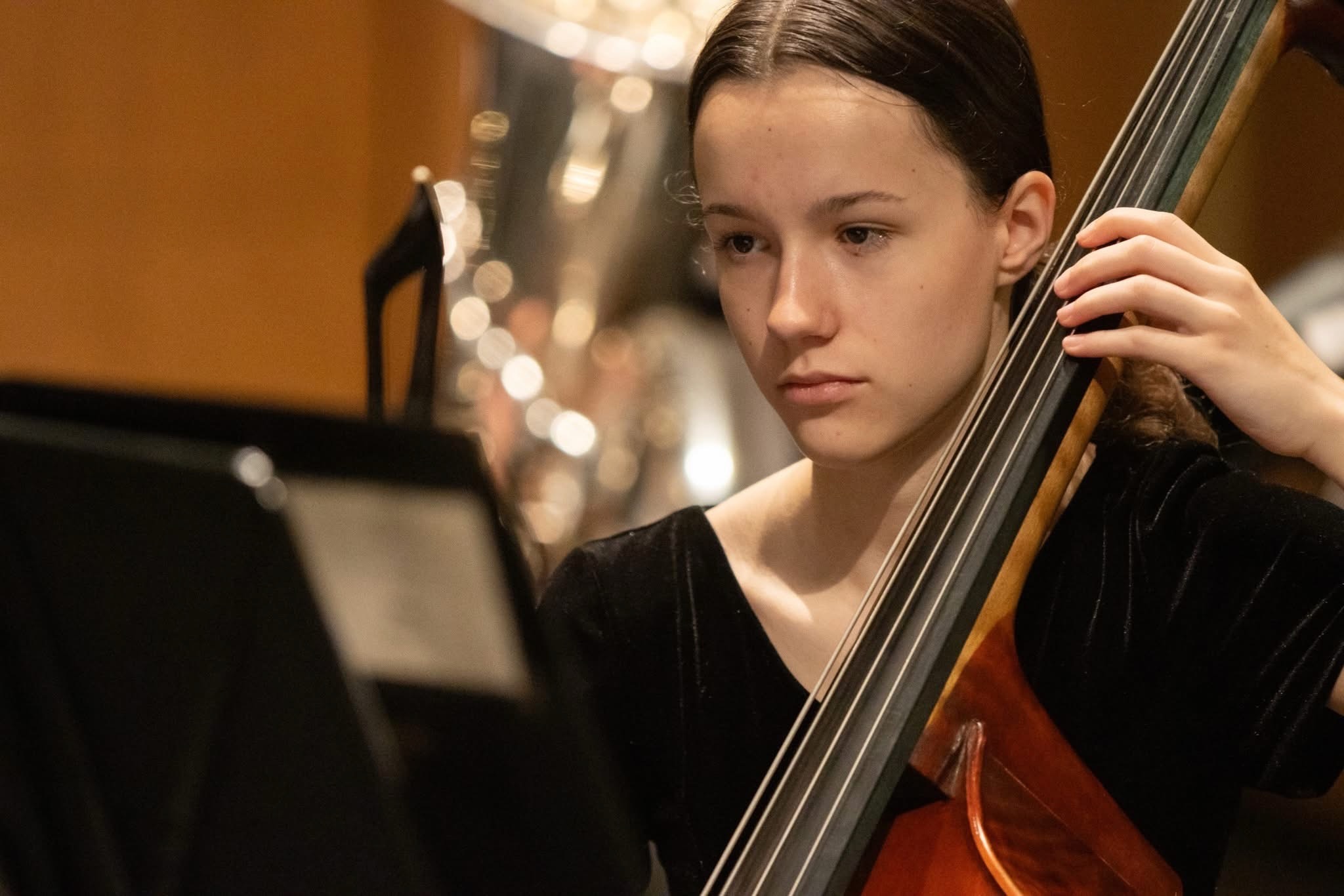 Playing the double bass in concert